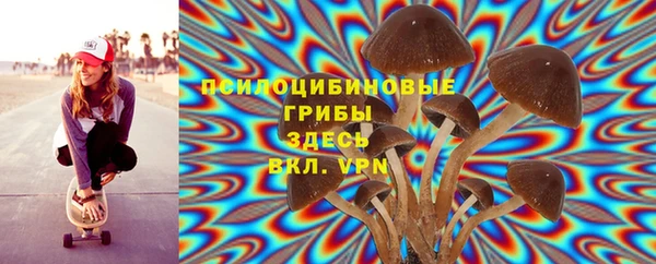 гидра Волосово