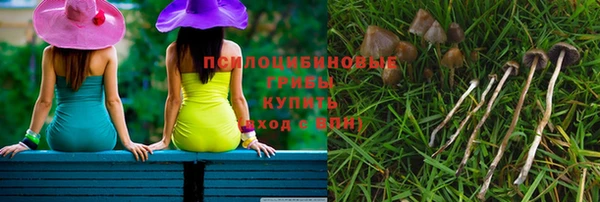 гидра Волосово