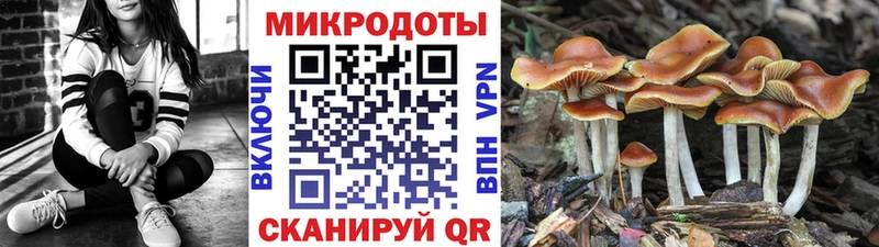 Псилоцибиновые грибы MAGIC MUSHROOMS  Купить где  Краснотурьинск 